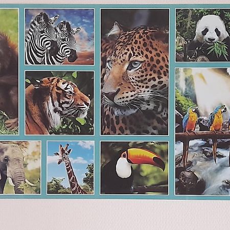 Апартаменти Animalier Жуаньї Екстер'єр фото